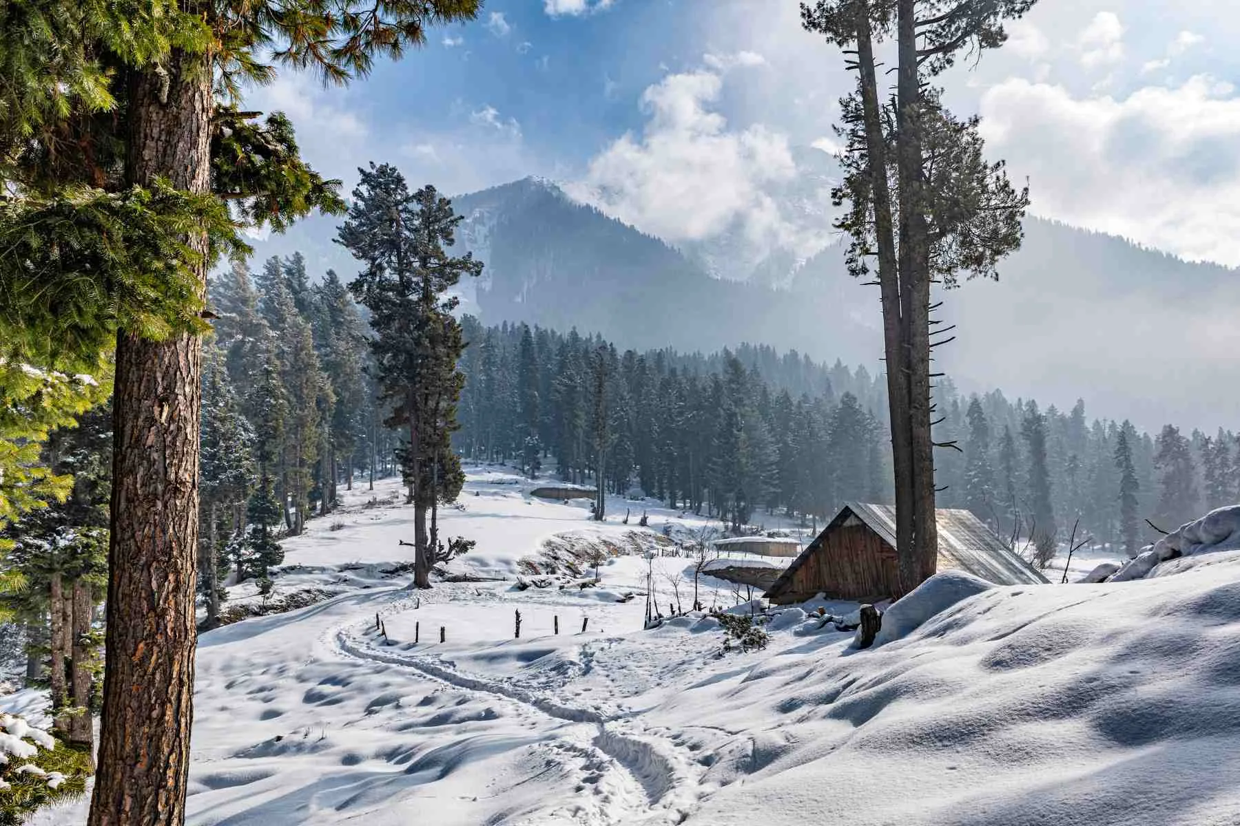 Pahalgam Kashmir